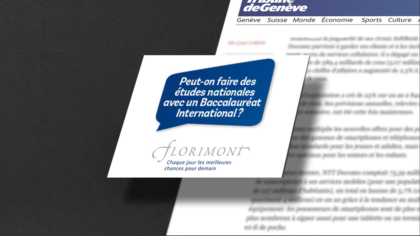 online-advertising-enseignement-institut-florimont3